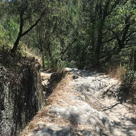 Les Solieges De La Cascade - Parc Des Cevennes 펜션 *